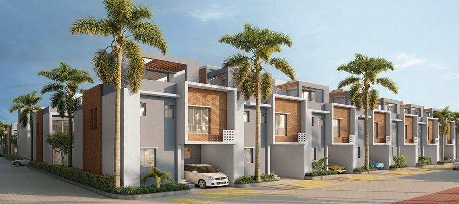 DTC Palm Grove